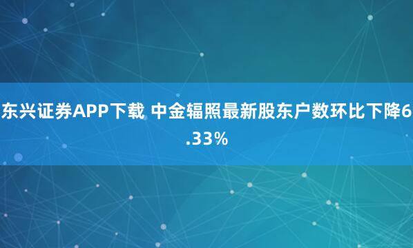 东兴证券APP下载 中金辐照最新股东户数环比下降6.33%