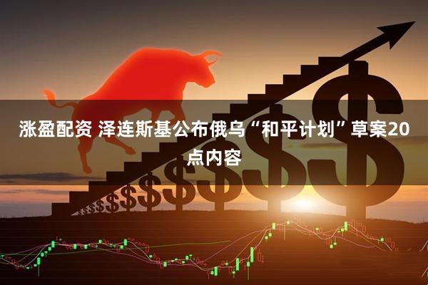 涨盈配资 泽连斯基公布俄乌“和平计划”草案20点内容