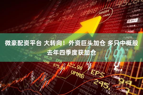 微豪配资平台 大转向！外资巨头加仓 多只中概股去年四季度获加仓